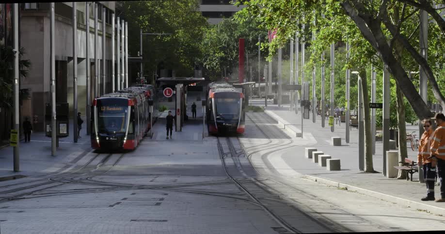 A group of trams waiting at a terminal in a city during the day