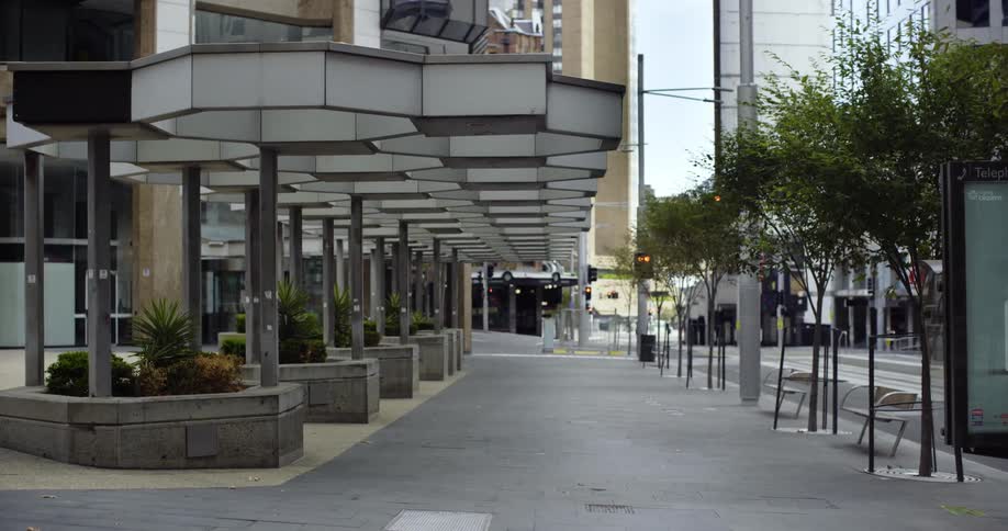 A city sidewalk with benches trees and signs with the street and a vehicle in the background