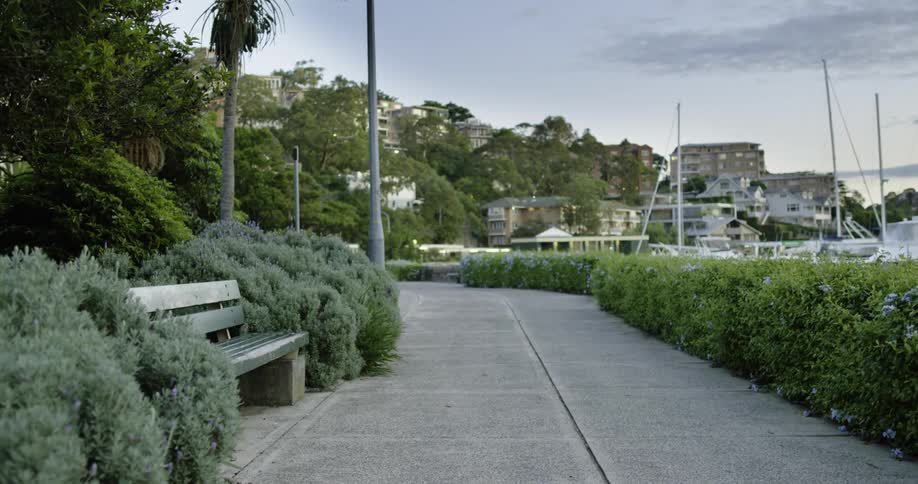 Bench bordered by bushes sits near marina with buildings occupying slope in background