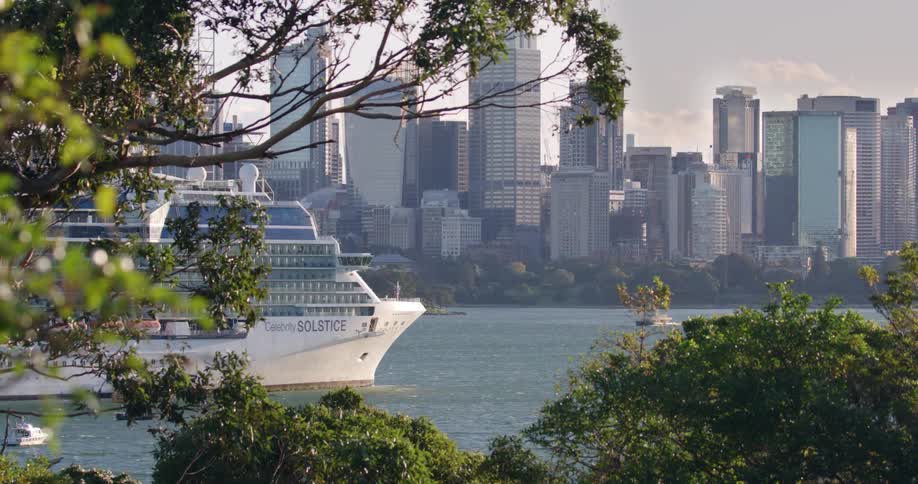 Trees in the foreground with a cruise ship and a boat in a river with the city skyline in the background
