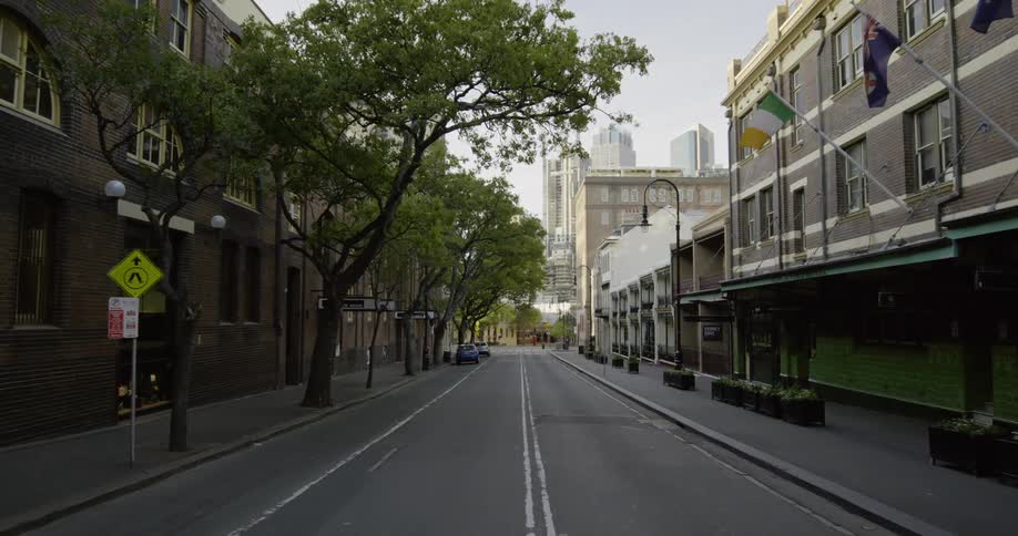 Trees and buildings line a city street on a summer day