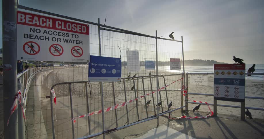 Birds stand around a gate and barricade barring access to a beach