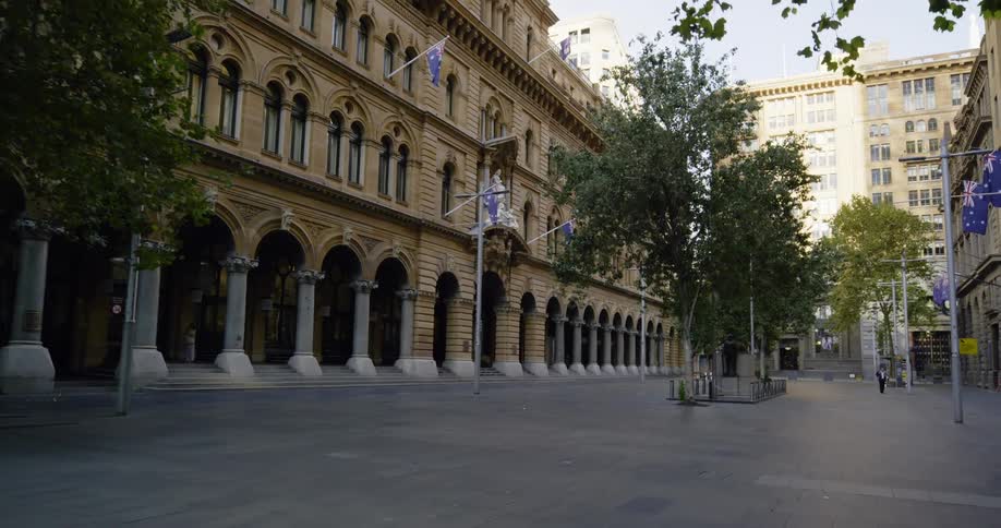 Trees grow in a city courtyard near buildings
