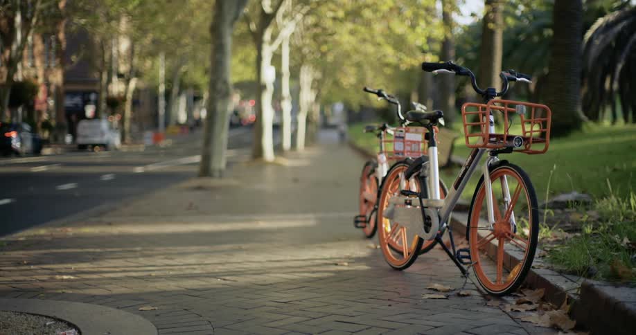 Two bicycles are parked next to the curb and lawn on a neighborhood street