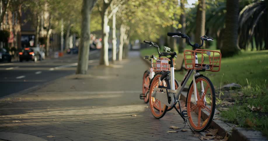 Bicycles on a sidewalk with trees vehicles the street and buildings in the background