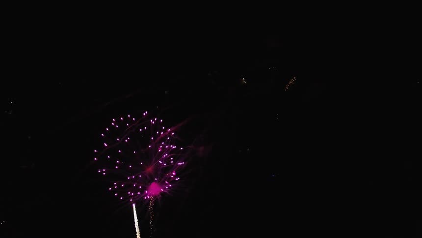 Fireworks exploding in the night sky