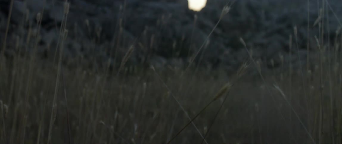 A field of yellow grass near a rocky hill
