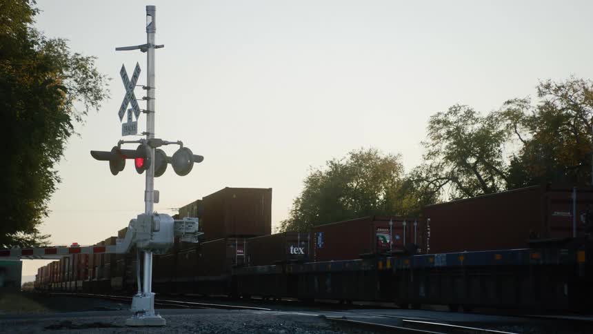 A cargo train travels past a crossing light on a summer day