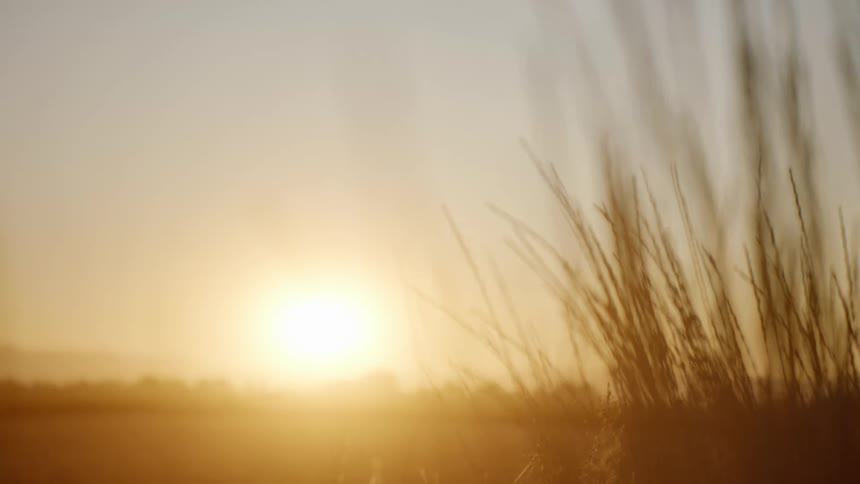 A car drives in the distance as the sun rises
