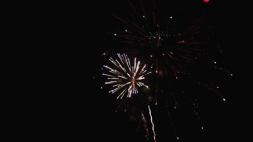 Fireworks exploding in the night sky