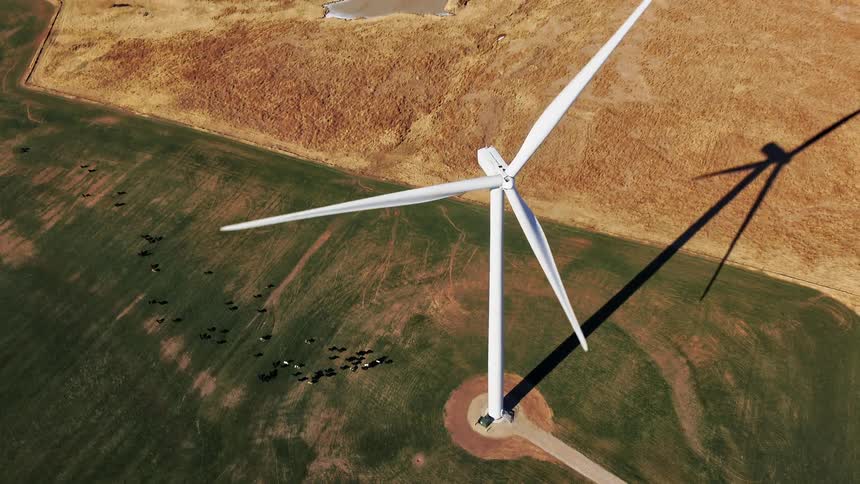 A wind turbine spinning above a field as cattle graze below