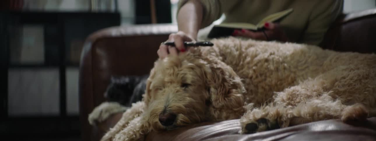 A young woman pauses from writing in her journal to pet the head of her dog