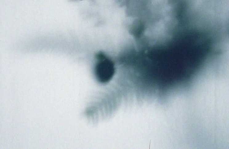 A bouquet is placed down in the fog