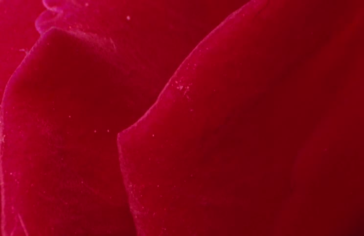 An abstract shot of a red object in darkness