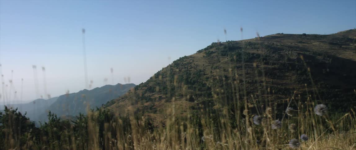 A large mountain is covered with grass and trees