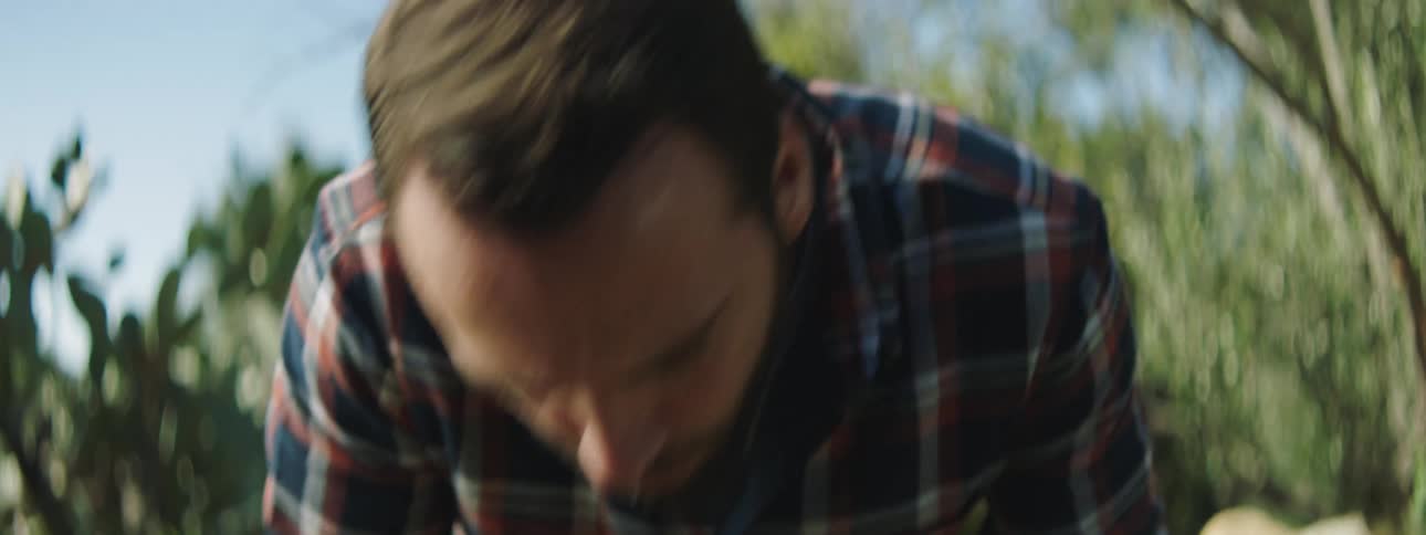 Bearded man wearing a plaid shirt tries to start a friction fire