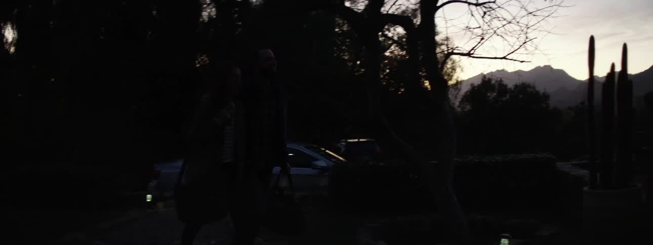 A man and woman get out of their car and walk towards their home and go inside