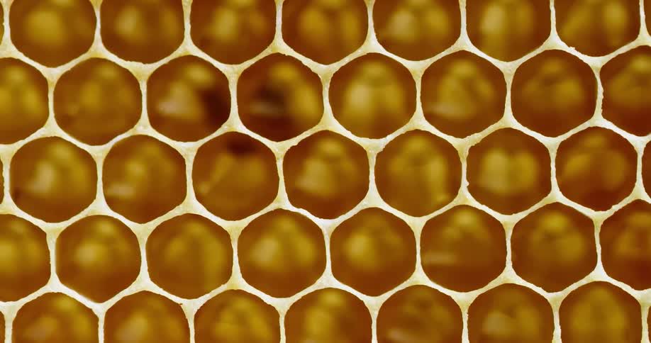 A honeycomb drawing has orange and white colors