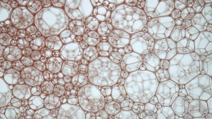 Red ink flowing inside a web of soap bubbles over a white background