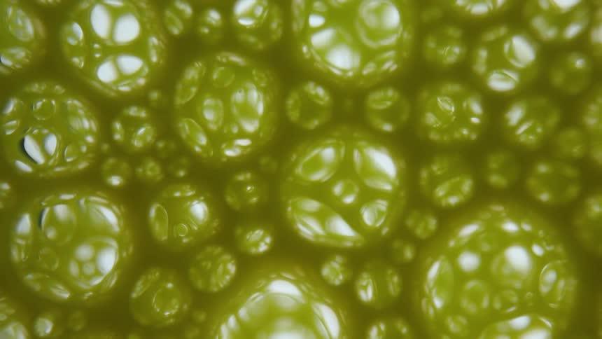 White black and green colors that look like bubbles and green liquid