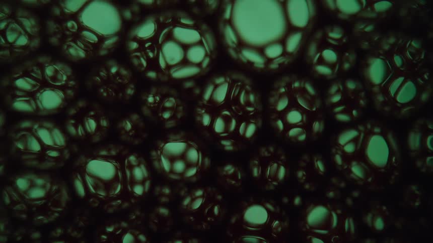 Black liquid forms a web of moving bubbles against a green background
