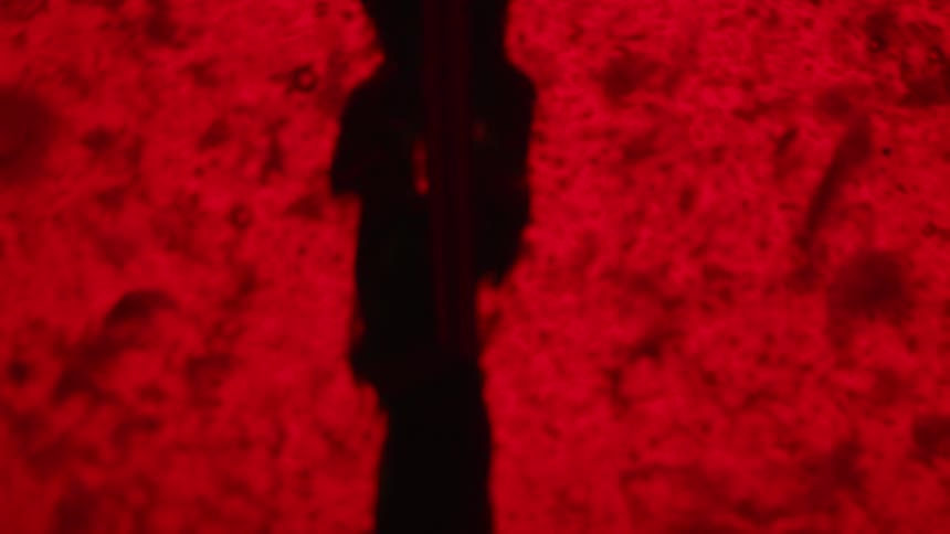 The red and black colors move together