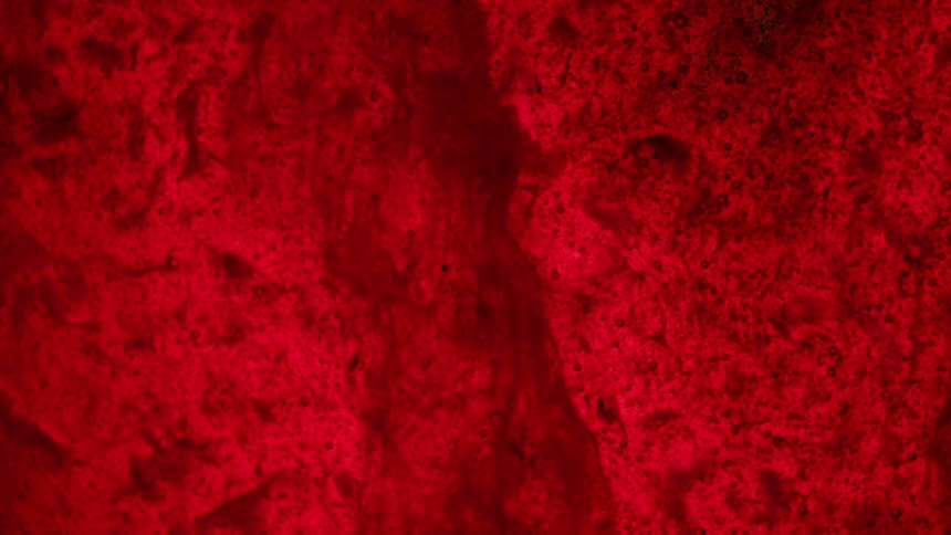 Flowing of red liquid in front of a red surface