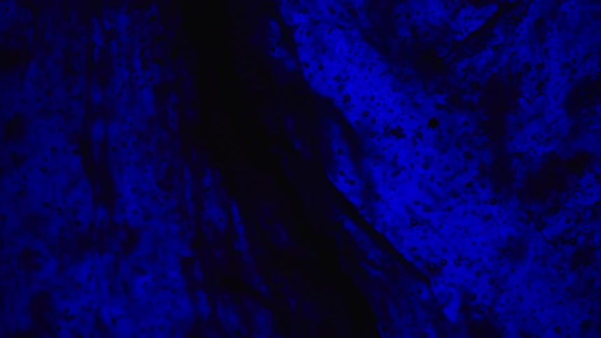 The colors move and spin around