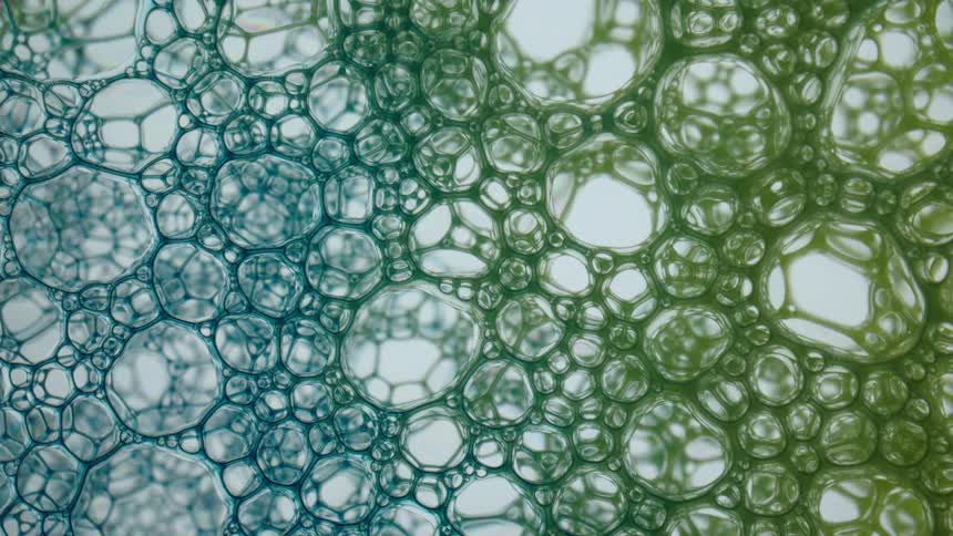 Border and background of bubbles changes colors as they shift
