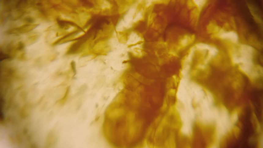 Movement of yellow and orange liquid