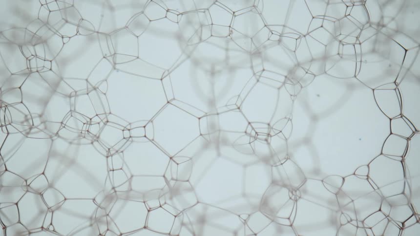 Web of soap forming a honeycomb bubbles against a white background