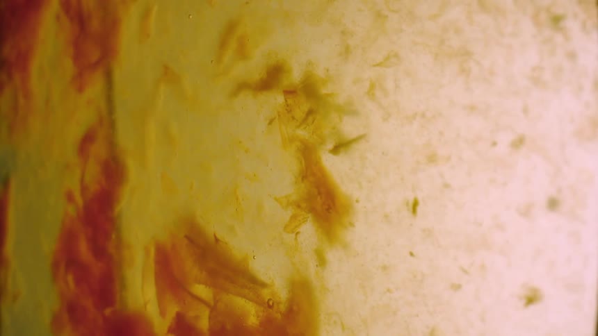 A viscous mixture with pulpy material suspended within it is stirred by a skinny stick