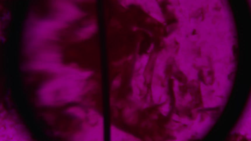 Long narrow stick pushes crimson mass in purple liquid under magnification