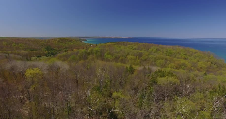 Aerial view of some hills covered in trees