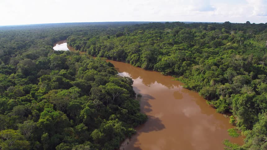 A muddy river winds through a green forest