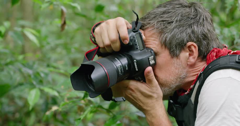 A man with a backpack and camera taking pictures with plants in the background