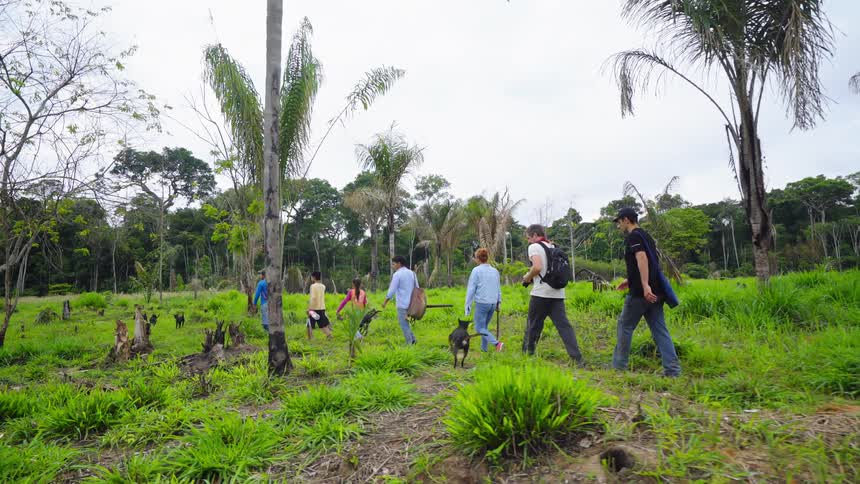 A group of people walk through a rural area with dogs
