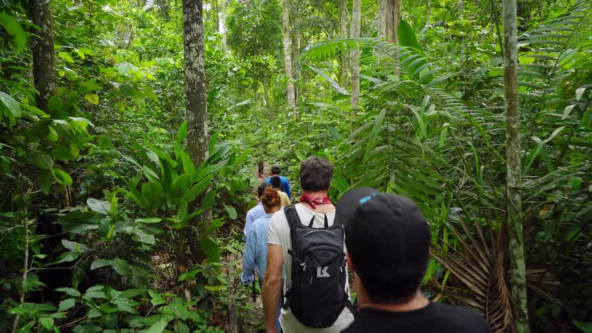 Group of people hike along path through lush forest