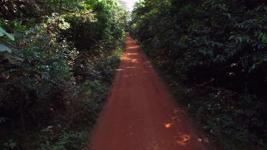 A man rides a motorbike through a forest