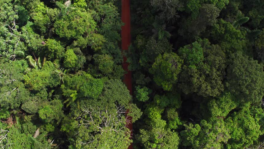 Aerial view of a cyclist riding a bicycle down a cycle route in the dense forest