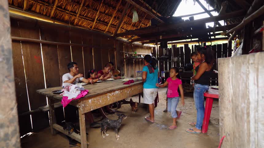 People sitting at a table eating with dogs and a chicken underneath the table