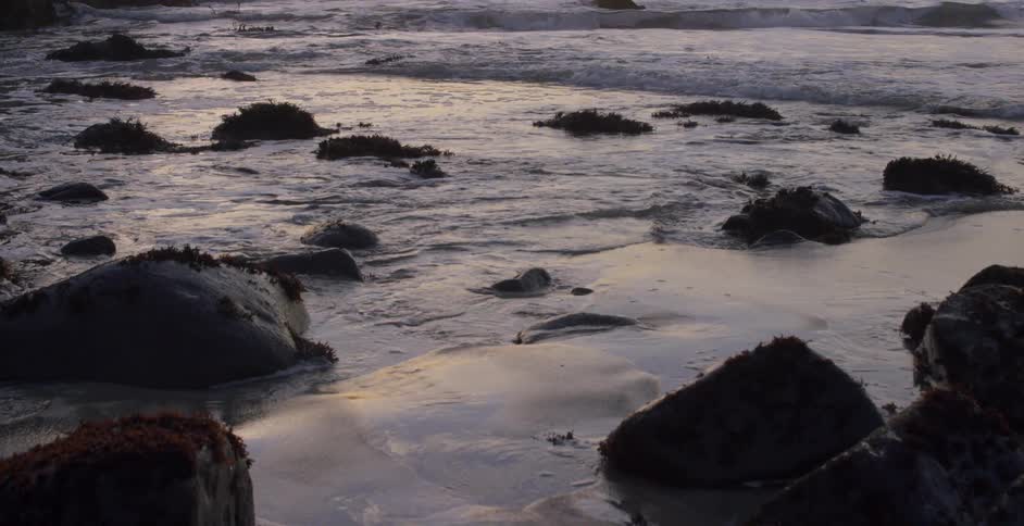 Waves rolling in to the shoreline
