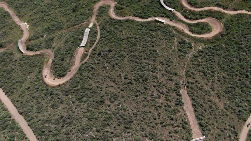 An aerial view of a forest is displayed