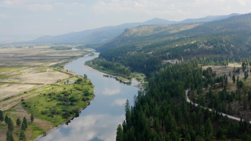 Aerial view of a river running along side a field and forest