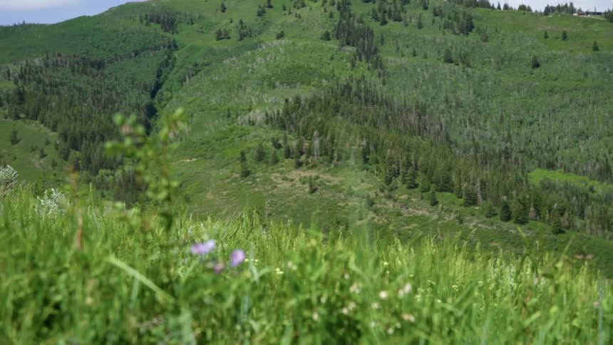 A man is riding his mountain bike on the hill
