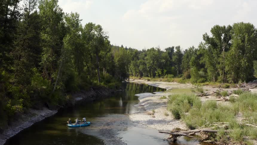 Three men fish together in a boat on a narrow river through a forest