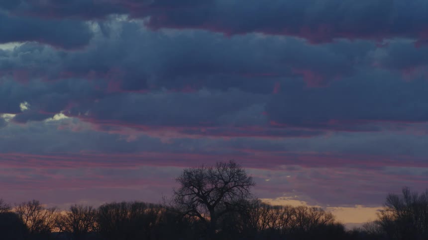 Blue and purple clouds at sunset over a forest