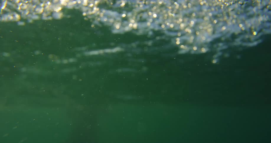 A person is swimming underwater