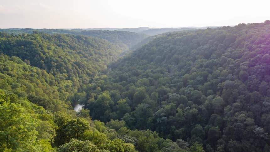 Aerial view of a river flowing in a valley in a forest