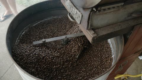 Machine stirs beans in large metal tub as person stands nearby